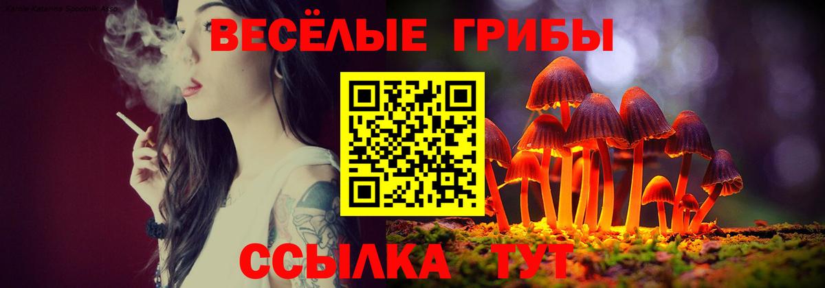 купить закладку  Вход с VPN  Берёзовский  Галлюциногенные грибы Psilocybe 